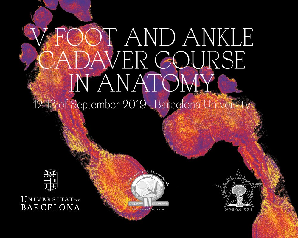 Foot & Ankle Cadaver Lab Home